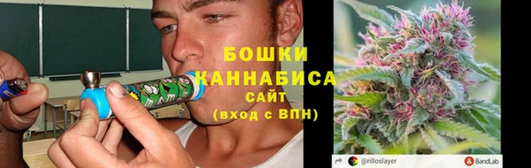 стаф Гусь-Хрустальный