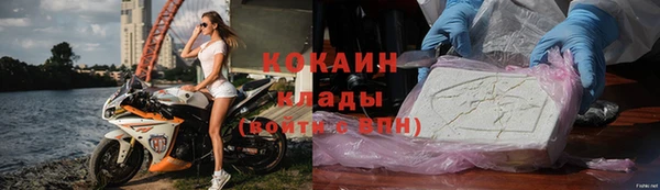 стаф Гусь-Хрустальный