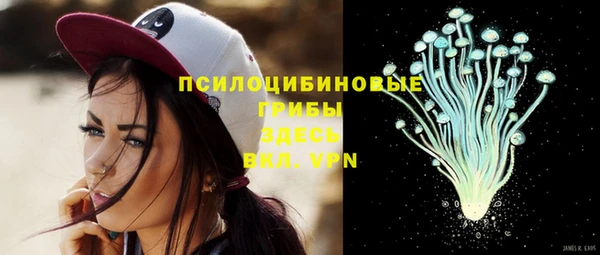 дмт Гусиноозёрск