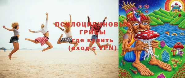 стаф Гусь-Хрустальный