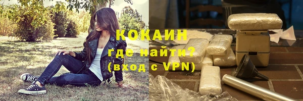 стаф Гусь-Хрустальный