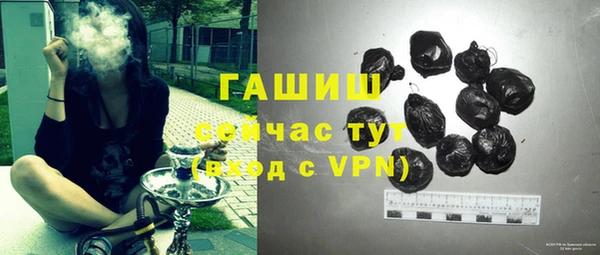 прущий лед Дмитриев