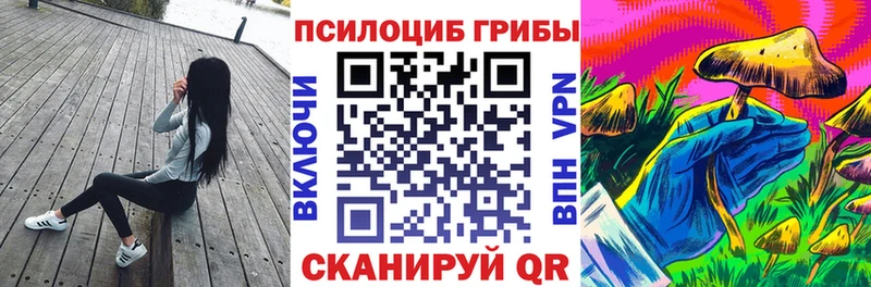 закладки  Мариинск  Псилоцибиновые грибы мухоморы 